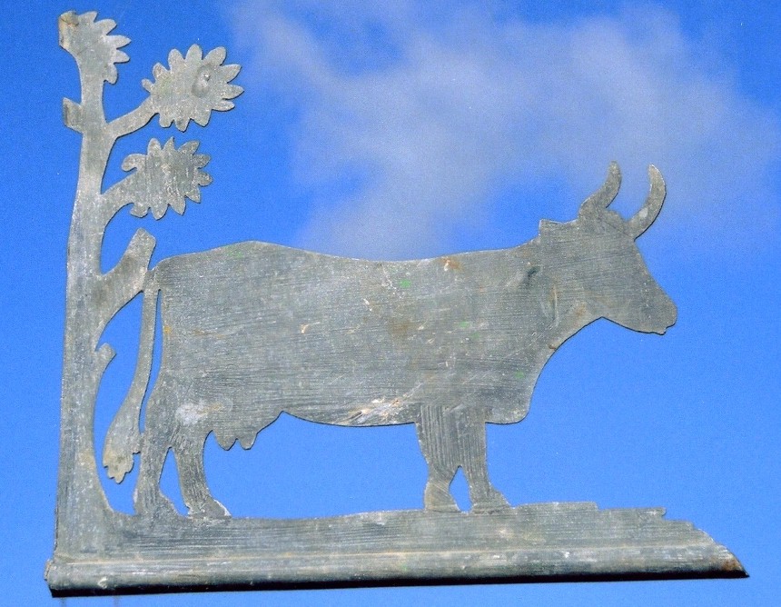 399 - Vache du Charolais